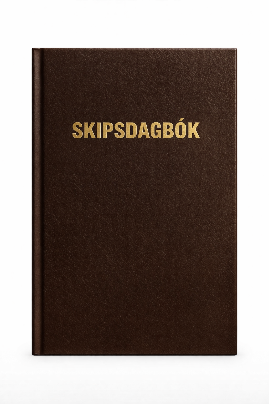 Skipsdagbók